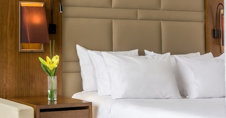 Room Habitación Premium con Vista y Terraza